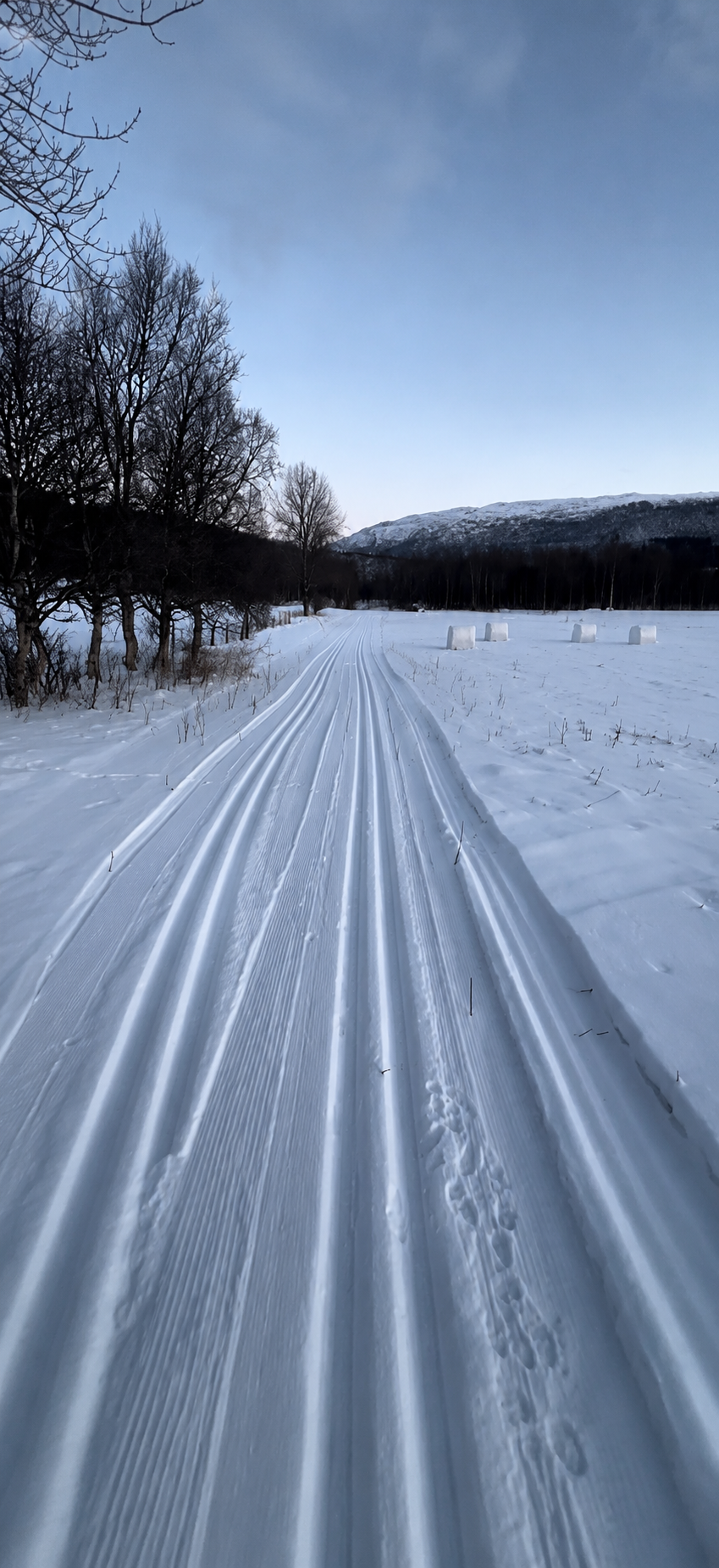 Skier in the winter landscape in Lavangen