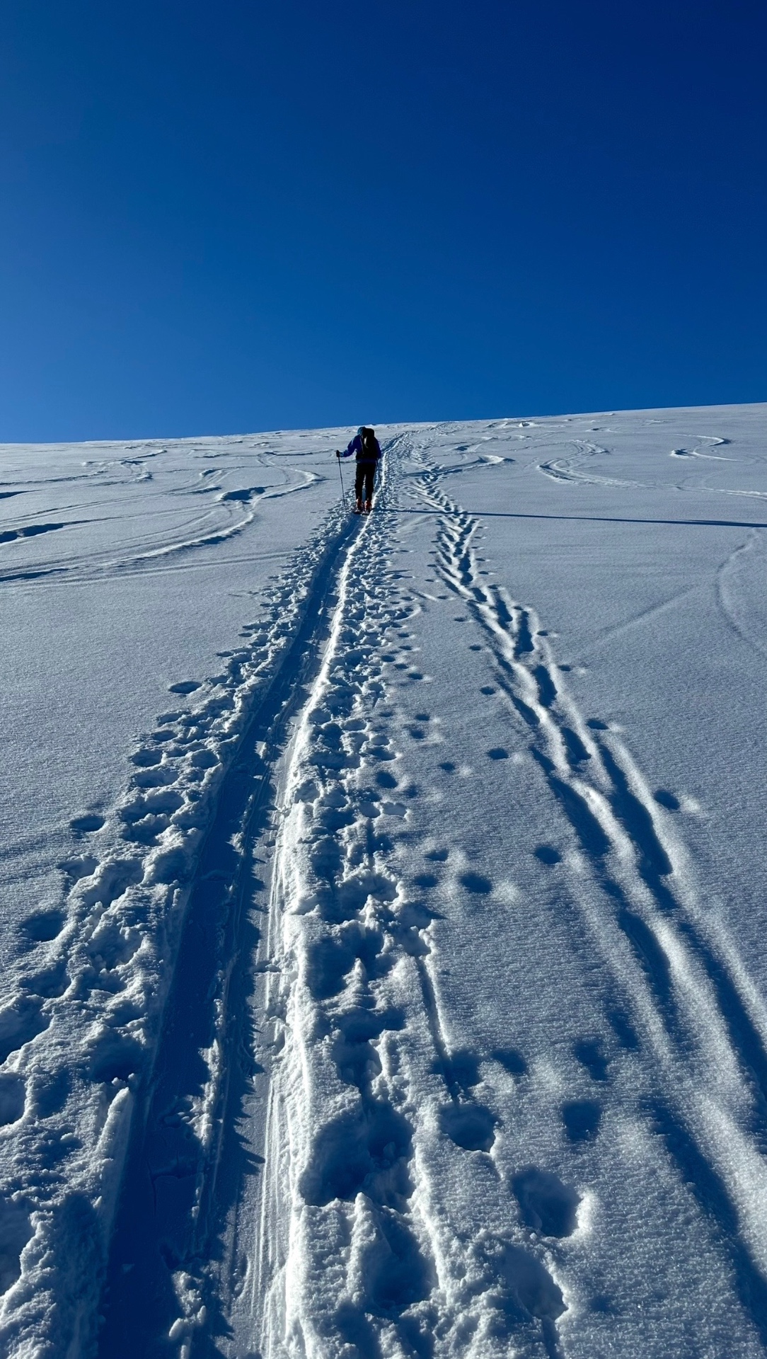 Skitourengeher beim Aufstieg am Rundkollen bei klarem Frostwetter