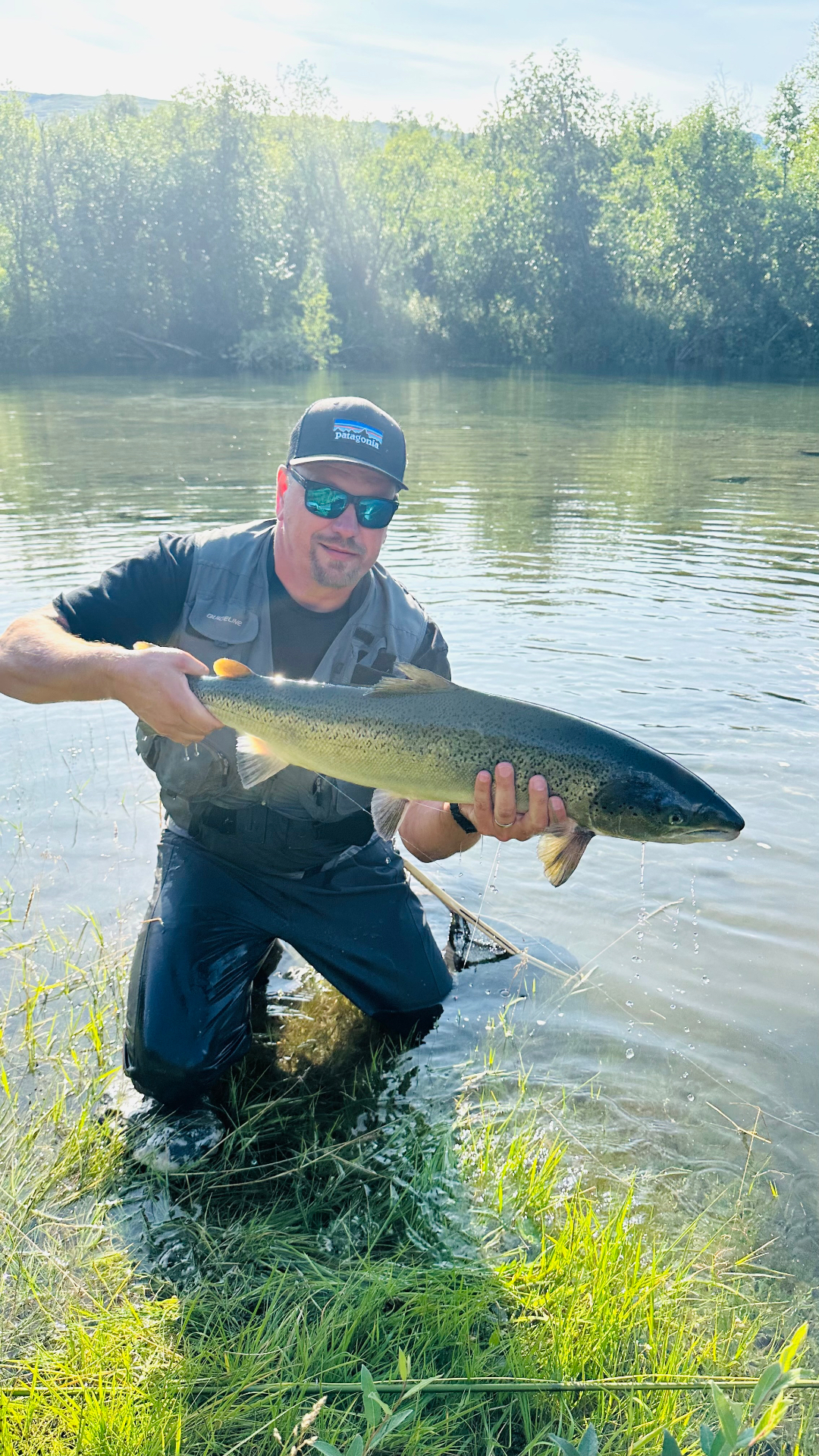 A catch from Northern Norway