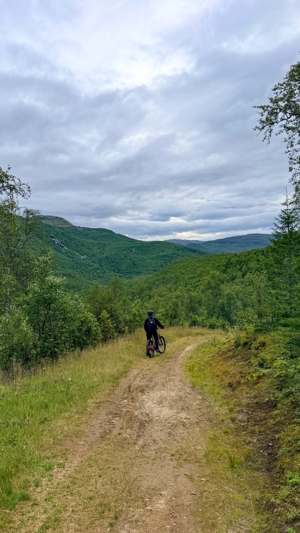 Maastopyöräilijä traktoritiellä metsäisten vuorenrinteiden keskellä