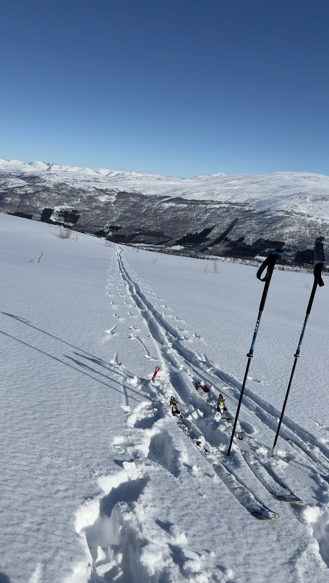 Ski und Stöcke in einer Pause am Rundkollen, im Hintergrund schneebedeckte Berge